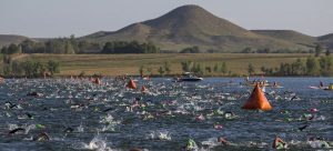 athletes swimming in water