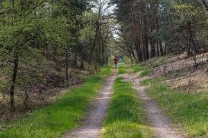 Spring Run