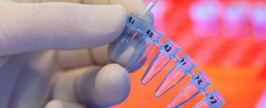 close up of scientist holding testing objects