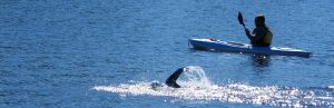 swimmer in water while kayaker watches