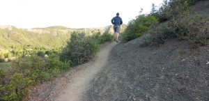 runner on trail