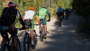 group of athletes biking on road