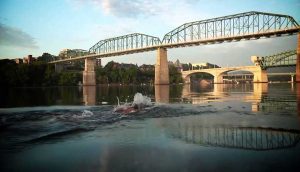 swimmer in water under bridge